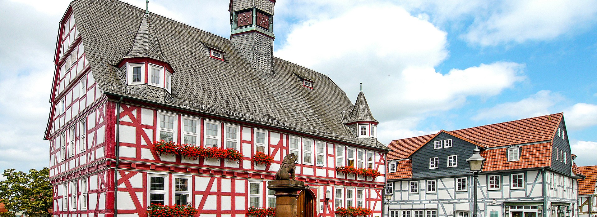 001--homberg-ohm_219038797.jpg